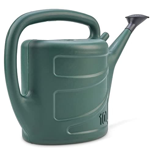 Image of ACCURATE Watering Can comes complete with sprinkler rose and is ideal for light watering around your garden.-GREEN