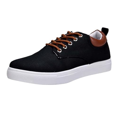 Image of WWricotta Men Low Top Canvas Walking Shoes Lace Up Fashion Casual Shoes