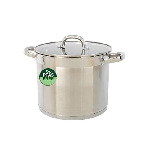 Image of Salter Timeless 24cm Stockpot - Non-Stick Stainless Steel Cooking Pan, 9L, Includes Tempered Glass Lid & Steam Vent, Easy Carry Handles, Dishwasher Safe, Suitable for All Hobs Including Induction