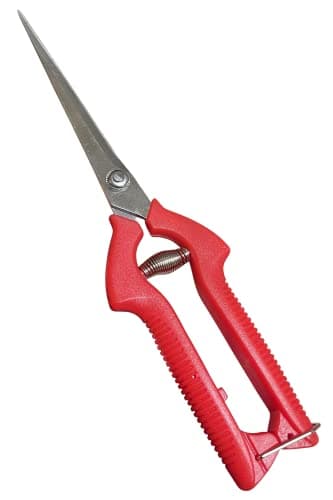 Image of Garden GURU Extra Long Stainless Steel Pruner Pruning Shears Clippers Snips – Sharp Bonsai Cutter Plant Trimming Scissors – Straight Blade Garden Scissors Tool – Great for Roses Flowers Herbs Fruits