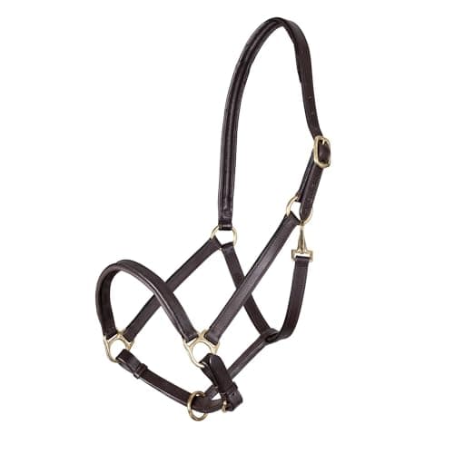 Image of Shires Ragley Lined Leather Headcollar: Havana: Cob