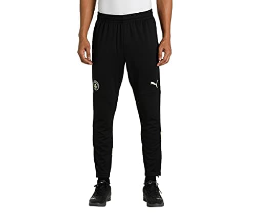 Image of PUMA Mens Manchester City F.C. Football Training Pants Black-Fizzy Light M