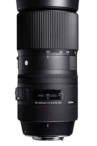 Image of Sigma 5,0-6,3/150-600 DG OS C/AF HSM Contemporary Nikon