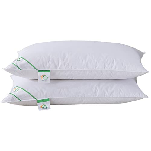 Image of Goose Feather and Down Pillows Pair, Luxury Pillows with 100% Cotton Cover, Medium and Soft Firmness, Hotel Quality(48X74cm)