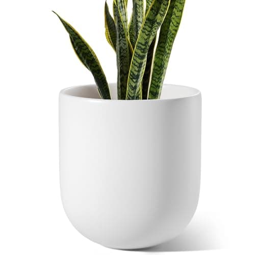 Image of LE TAUCI 25 cm Plant Pot, Ceramic Pots for Plants with Drainage Holes and Rubber Plug, Plant Pots Indoor Outdoor for Home Garden Patio Office, Cylinder Flower Pot, White