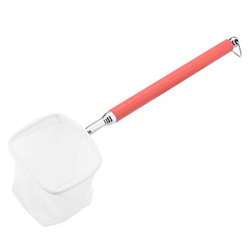 Image of Telescopic Long Handle Aquarium Fish Net for Shrimp Skimming Small Pond and Fish Tank - Square Red