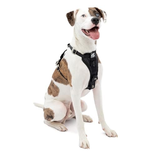 Image of Kurgo Enhanced Strength Tru-Fit Dog Car Harness, Crash Tested, Steel Nesting Buckles, Includes Seatbelt Tether, Medium-Black