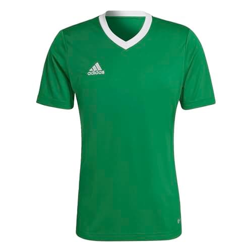 Image of adidas Men's Entrada 22 Jersey, Team Green/White, L