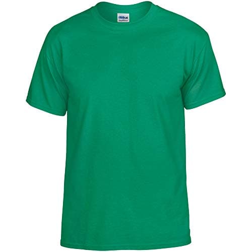 Image of Gildan DryBlend Adult Unisex Short Sleeve T-Shirt (XL) (Irish Green)