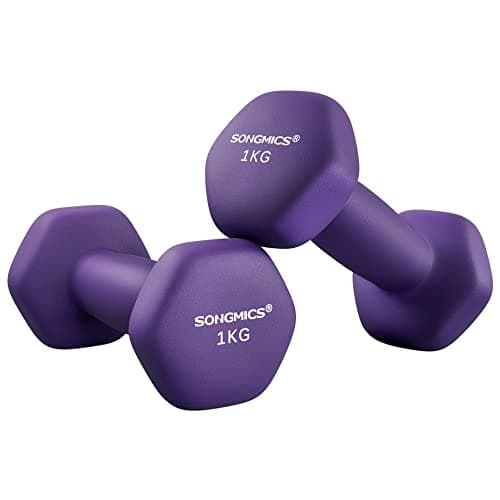 Image of SONGMICS Dumbbells Set of 2 2 x 1kg Dumbbells Hexagon Neoprene Coating Strength Training Workout Fitness Training Home Ash Purple SYL902P02