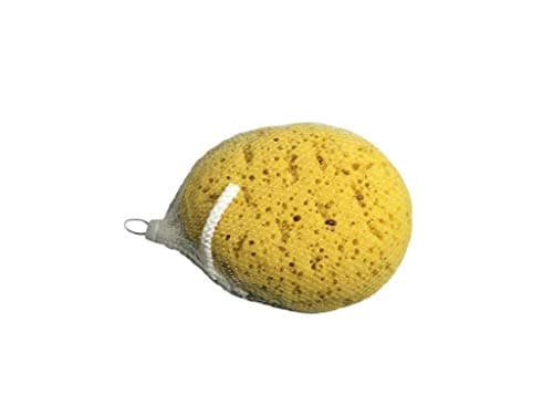 Image of Body Sponge