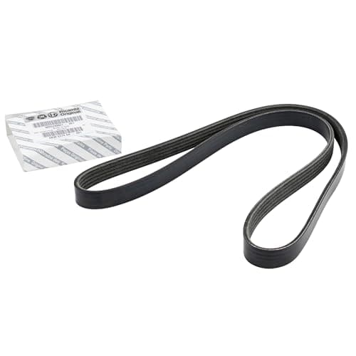 Image of Genuine Fiat V-ribbed belt 5K1145 6 Punto Panda Doblo Stilo Bravo 55249821