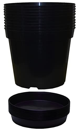 Image of Muddy Hands Pack of 10 Black Plastic Plant Pots + Saucers - Outdoor Garden Round Nursery Herb Flower Planters Base Water Drip Trays (10 Litre)