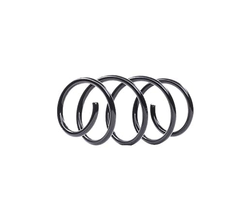 Image of KYB Front Coil Spring RA4125