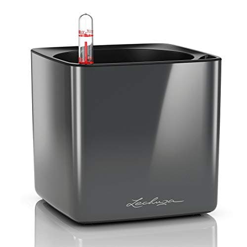 Image of LECHUZA Self Watering Plant Pots Indoor CUBE Glossy 14 Small Plastic Planter without Drainage Hole H14 L14 W14 cm Charcoal High-Gloss