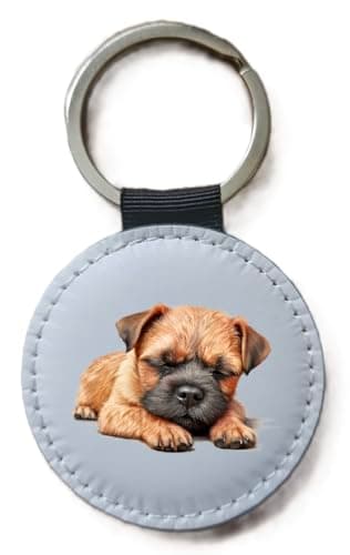Image of Border Terrier Keyring Sleeping Laying Down, Border Terrier Dog Lover Gift Keyring