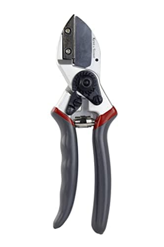 Image of Kent and Stowe 70100463 8-Inch Anvil Secateurs