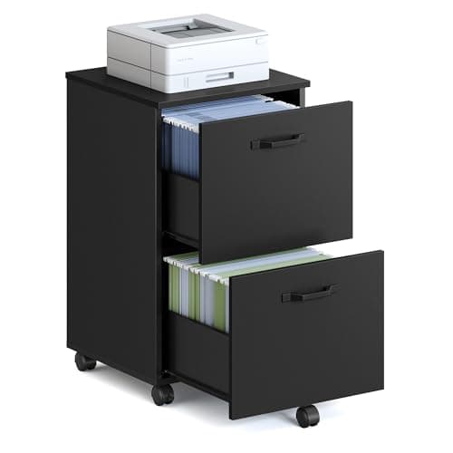 Image of VASAGLE 2-Drawer Filing Cabinet, Mobile File Cabinet for Home Office, Small Rolling Filing Cabinet, Printer Stand, for A4, Letter-Size Files, Hanging File Folders, Matte Black OFC040B16