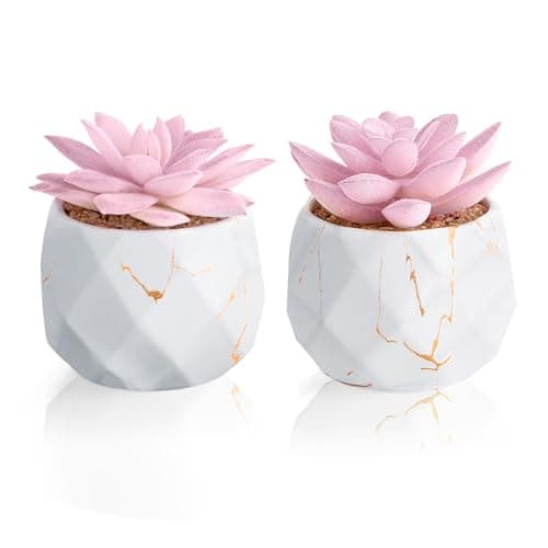 Image of ZENIDA Set of 2 Artificial Succulents Plants in White Ceramic Pots, Mini Potted Plants, Small Decorative Fake Plants for Home, Office, Desk, Bathroom, Bedroom and Shelves Decor