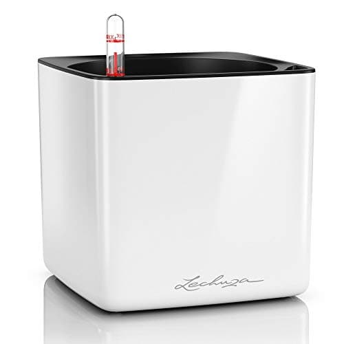 Image of LECHUZA Self Watering Plant Pots Indoor CUBE Glossy 16 Small Plastic Planter without Drainage Hole H16 L16 W16 cm White High-Gloss