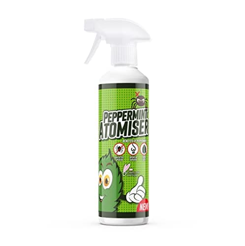 Image of McKLords FAM0551 Peppermint Atomiser-Spider Repellent/Deterrent Spray-Natural and Eco Friendly Pest Control 500ml, Clear