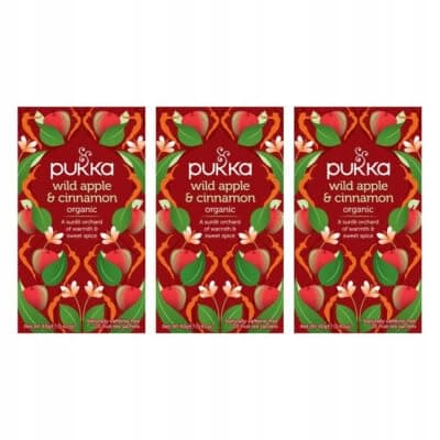 Image of Pukka Herbs | Wild Apple and Cinnamon Organic Herbal Tea Box | Infusion With Ginger, Orange and Cardamom | Perfect For Bright Energy | Caffeine Free | 3 Packs | 60 Plant Based Biodegradable Tea Bags
