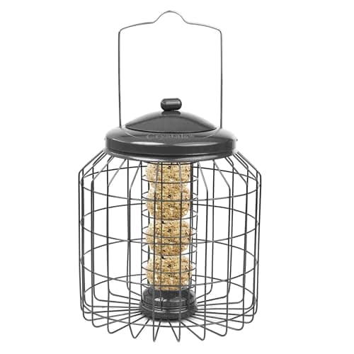 Image of Crystals Squirrel Proof Hanging Bird Feeder for Small Birds – Heavy Duty Garden Peanut & Fat Ball Feeders – Wild Bird Feeders (Fatball Feeder)