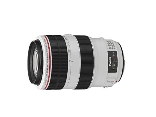 Image of Canon EF 70-300 f/4-5.6L IS USM Lens, Black/White (Renewed)