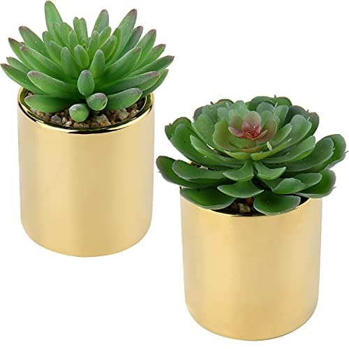 Image of Briful Artificial Succulent Plants Fake Succulent in Gold Ceramic Pot, Set of 2 Small Artificial Plants Fake Plants Indoor for Kitchen Bathroom Bedroom Home Office Decor