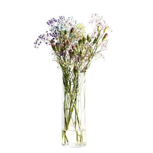 Image of KROSNO Glass Vase 30 cm – Home Collection, Tall Flower Vase, Cylindrical, Minimalist Design, Thick Glass, for Bouquets, Grasses and Interior Decoration