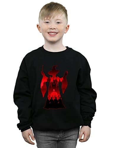 Image of Harry Potter Boys Minerva McGonagall Silhouette Sweatshirt Black 5-6 Years