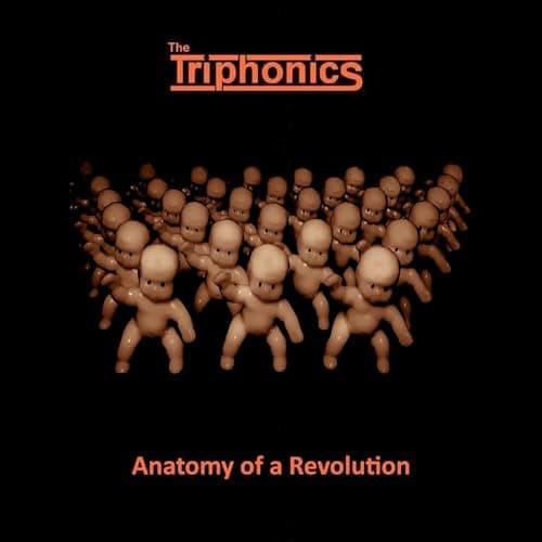 Image of Anatomy Of A Revolution