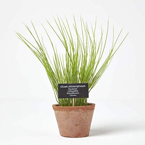 Image of HOMESCAPES Artificial Chives in Terracotta Pot Decorative Faux Herbs Potted in Decorative Distressed Planter for Indoor Decoration, 28 cm Tall