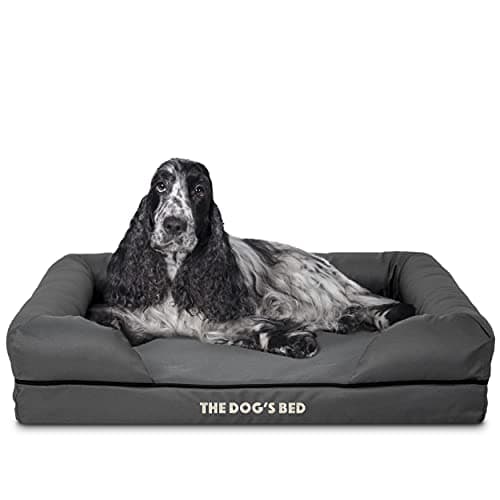 Image of The Dog’s Bed – Orthopaedic Memory Foam Bolster Bed, Grey with Black Trim, Medium