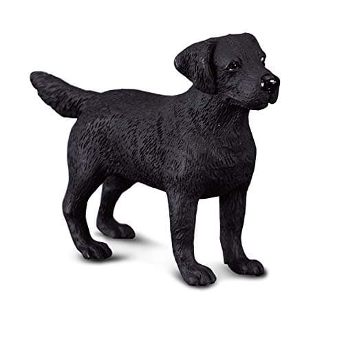 Image of CollectA Labrador Retriever