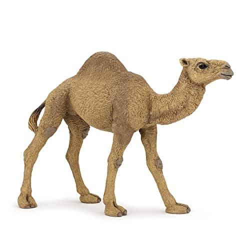 Image of Papo - Realistic Dromedary Figure - Ages 3+ - Wild Life Collection - Educational Play Desert Animals - Gift Idea Toy for Girls and Boys