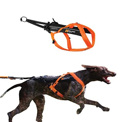 Image of Non-stop dogwear Freemotion harness 5.0 Dog Pulling Harness for Sports like Running, Biking and Skiing with Dogs, Professional Adjustable Dog Harness, Orange/Black, Size 7