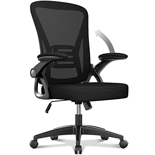 Image of naspaluro Office Chair Ergonomic Desk with 90° Flip-up Armrest Lumbar Support, Height Adjustable Chair, Executive Swivel Computer Padded Seat Cushion for Home/Office