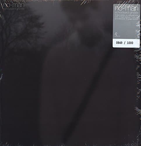 Image of Schoolyard Ghosts [VINYL]