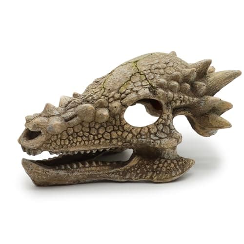 Image of wave Dragon Skull B
