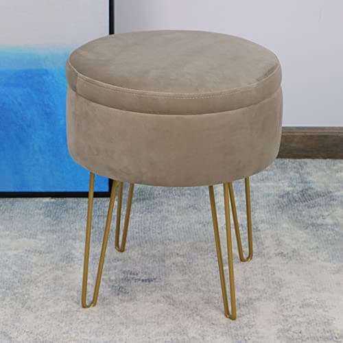 Image of La Maison Velvet Round Stool Ottoman Storage Seat Vanity Dressing Table Stool Chair Coffee Table Tray Metal Legs (Stone)