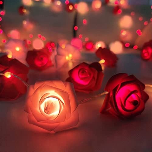 Image of TourKing Rose Flower String Lights 19.6 Ft 40 LED Artificial Rose Garland Fairy Lights USB Charged Rose Light for Wedding Anniversary Garden Party Decor Gift for Girls (Pink+Red)