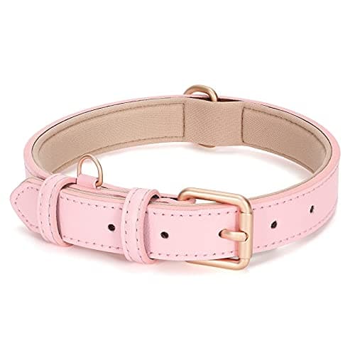 Image of JASGOOD Leather Dog Collar for Small Medium Large Dog Adjustable Soft Leather Padded Puppy Collar with Alloy Buckle Heavy Duty Waterproof Dog Pet Collar, Pink, S