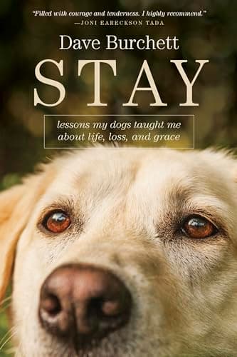 Image of Stay: Lessons My Dogs Taught Me about Life, Loss, and Grace