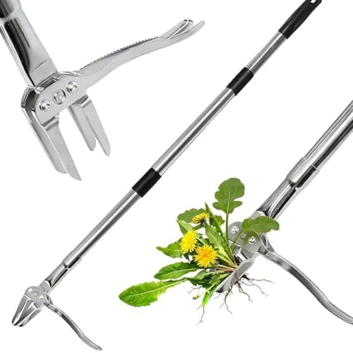 Image of RAYNEAY Weed Puller with Long Handle, 128CM Long Weed Puller Root Remover Tool with 4 Claws Steel Head for Yard, Lawn, Patio, Garden