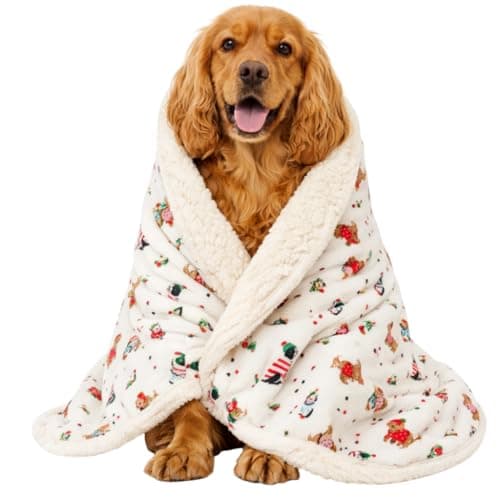 Image of Cath Kidston Washable Large Dog Blanket for Furniture & Pet Bedding, Reversible Sofa Throw, Soft Fleece Winter Blanket for Dogs & Puppies, Hearts & Roses Print, 100x120cm