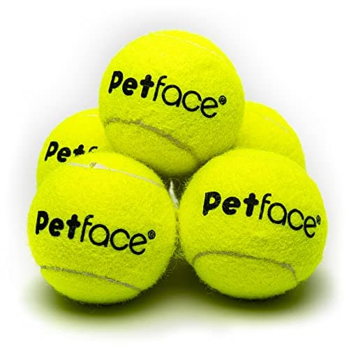 Image of Petface Mini Super Tennis Balls for Dogs, 4.8 cm (Pack of 5)
