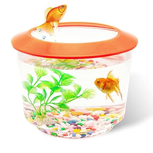 Image of Goldfish Tank – Small Fish Tanks and Aquariums – Fish Bowl – Starter Kits with Gravel Ornamental Plant – Complete Set up for Kids Fishes Tank (Orange)