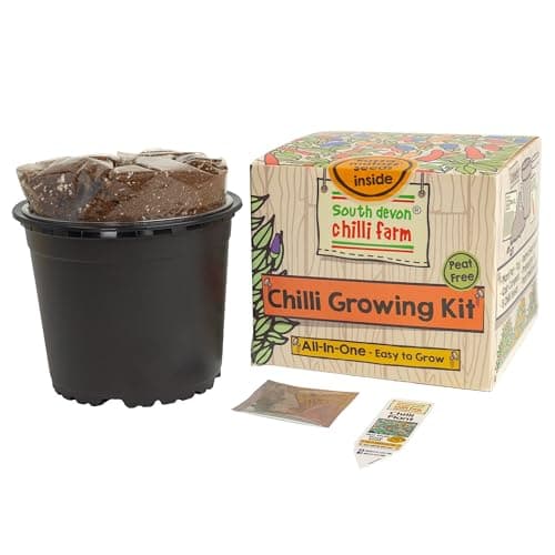 Image of South Devon Chilli Farm | Indoor Chilli Growing Kit from the Chilli Experts – Grow Your Own Chilli Seeds – Grow Your Favourite Chillis