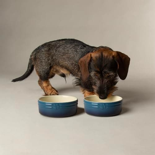 Image of Scruffs Ombre 2pc Ceramic Dog/Pet Bowl Set - Blue 13cm